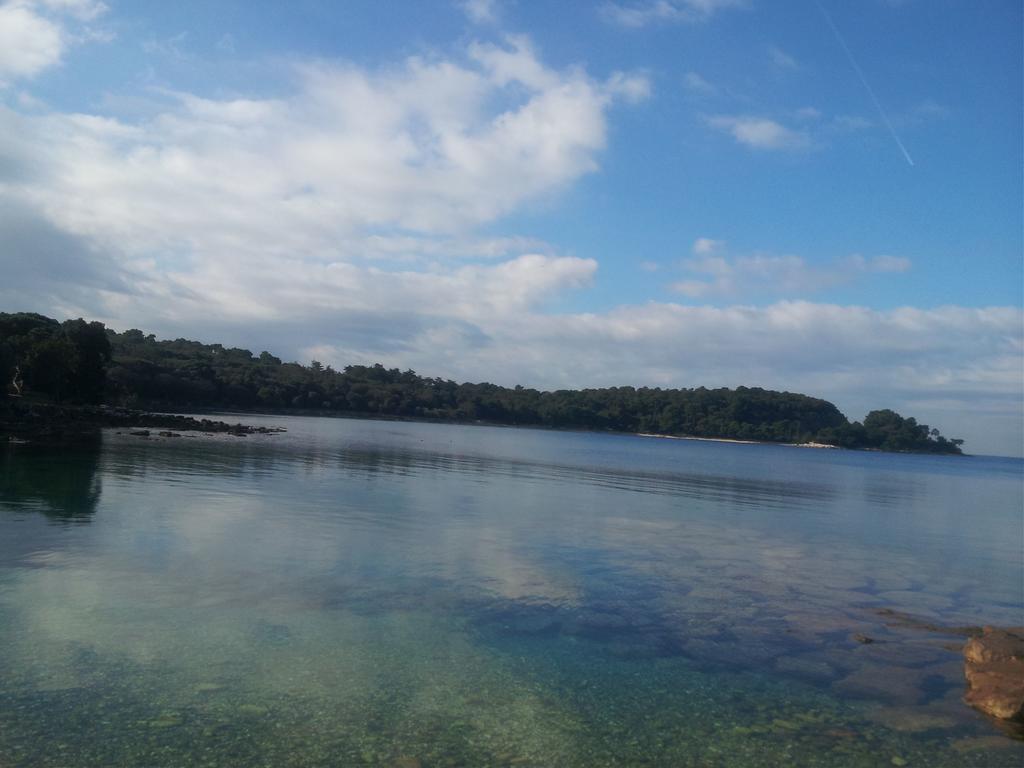 Apartments & Studio Matan Rovinj Kültér fotó